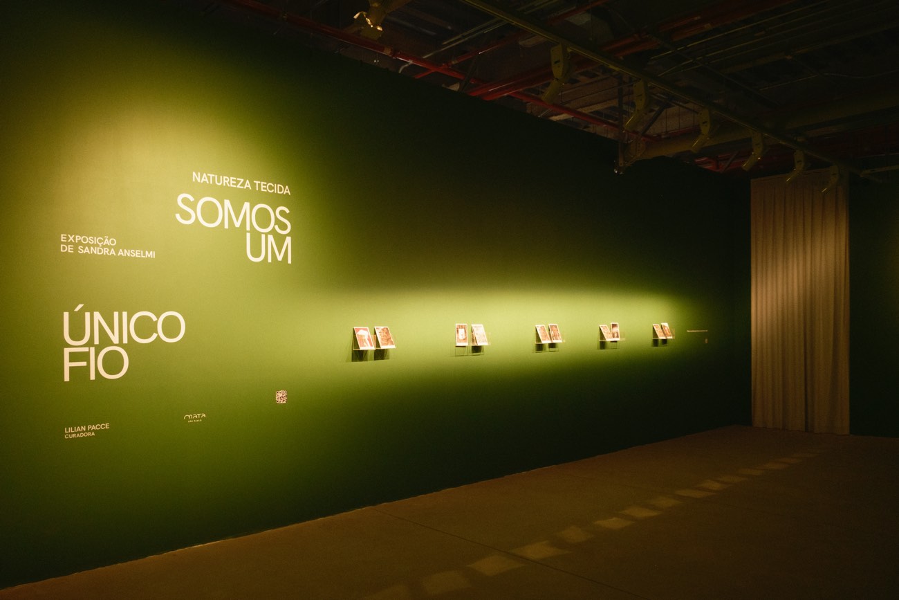 Outro quadro da exposição Somos um só fio